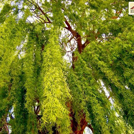 Ecoposada El Mercedario บาร์เรอัล ภายนอก รูปภาพ