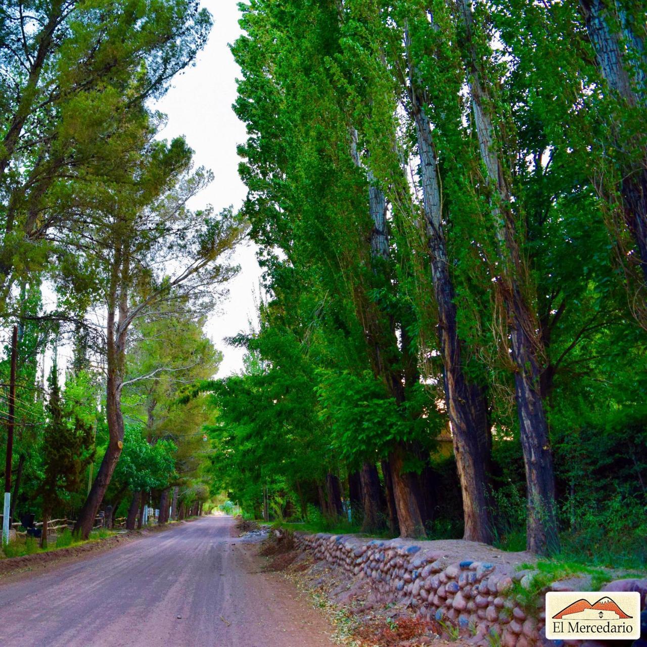 Ecoposada El Mercedario บาร์เรอัล ภายนอก รูปภาพ